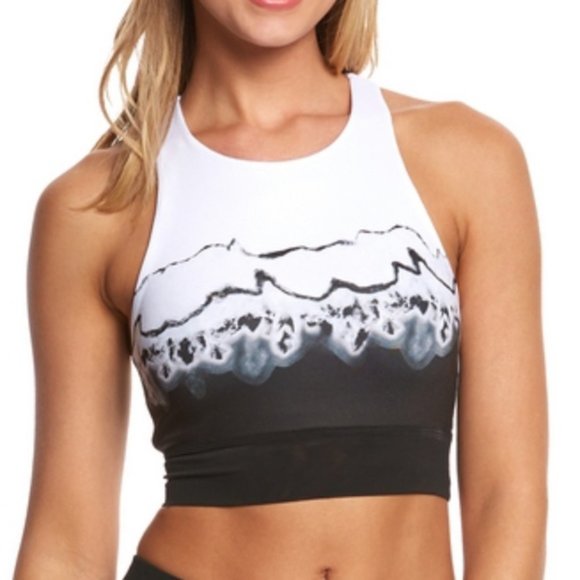 ALO Yoga Other - ALO YOGA Verse High Neck Bra with Mesh Band